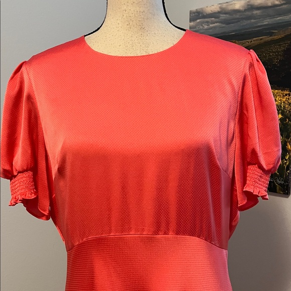 Ted Baker London Midi Dress - Picture 2 of 16